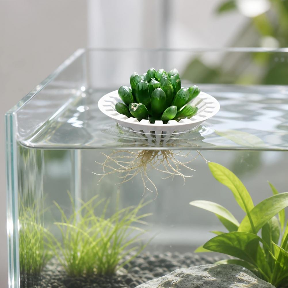 Aquarium For Planted Tank - Aquarium Hydroponic Planter 3d Printed Floating