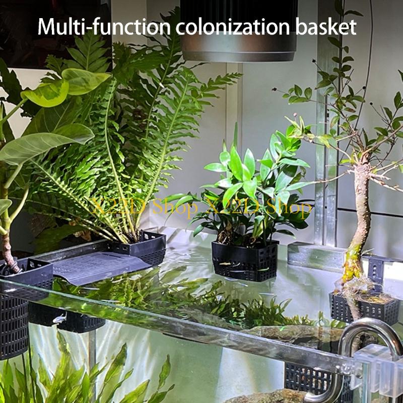 Aquarium Plant Holder - X22D Traditional Styles Vertical Garden Hanging
