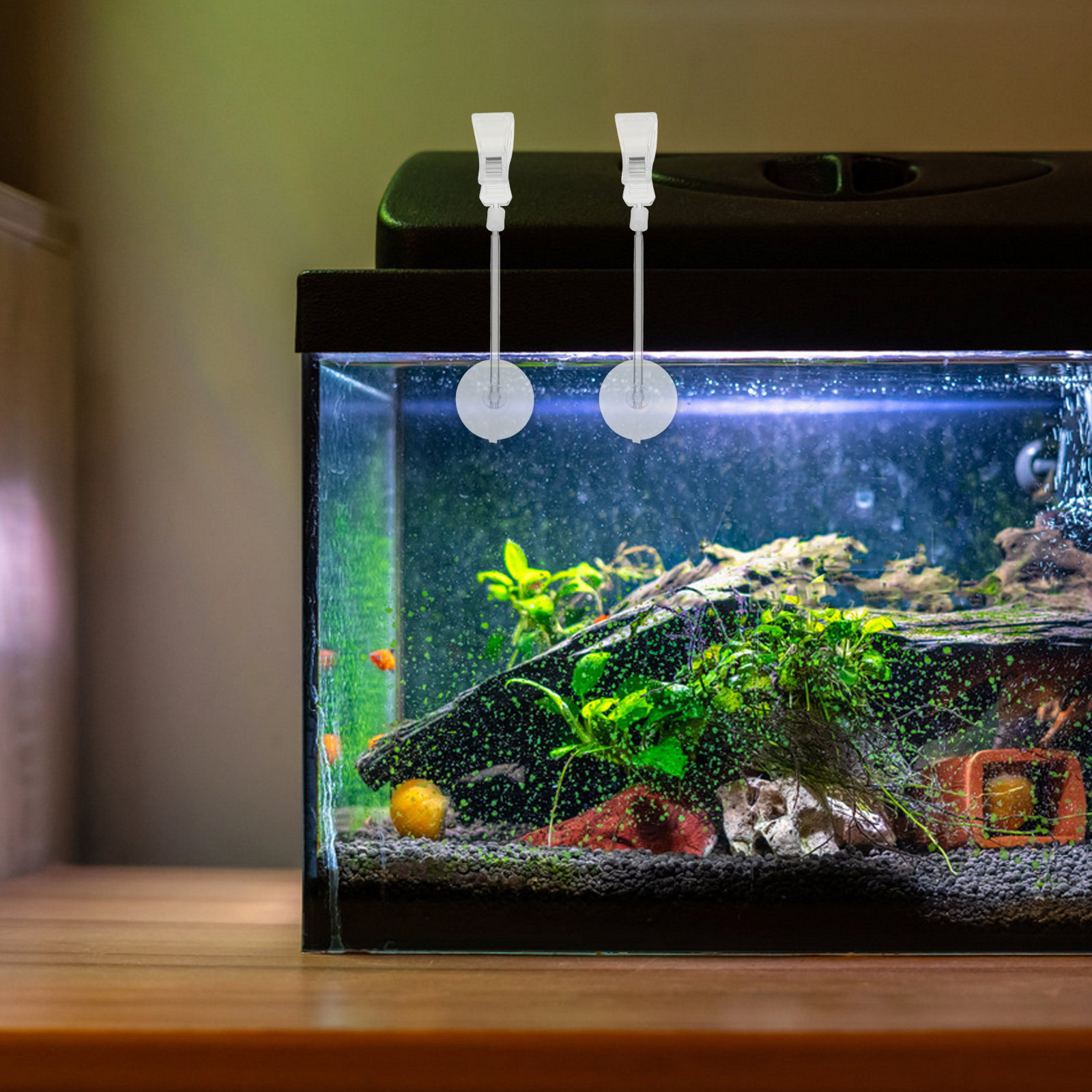 Aquarium Plant Holder - 3 pcs Aquarium Fish Tank Halloween