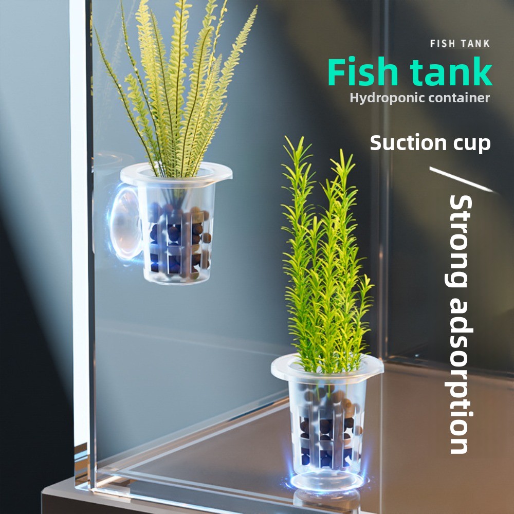 10Pcs Transparent Plant Hydrop - Aquarium Plant Growth 评论和价格