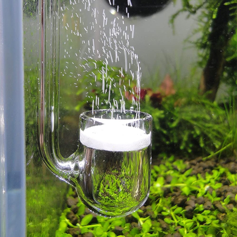 D0AD Glass CO2 Diffuser for Aq - Aquarium Plant Design 评论和价格