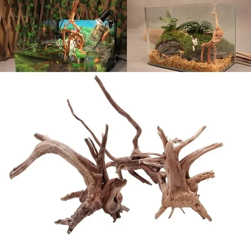 Natural Tree Trunk Driftwood A - Aquarium Plant Design 评论和价格