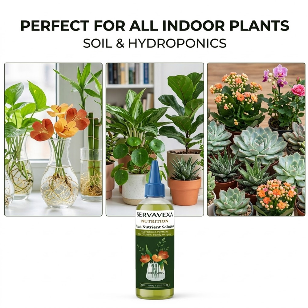 110ml  Plant Nutrient Solution - Aquarium Plant Nutrients 评论和价格