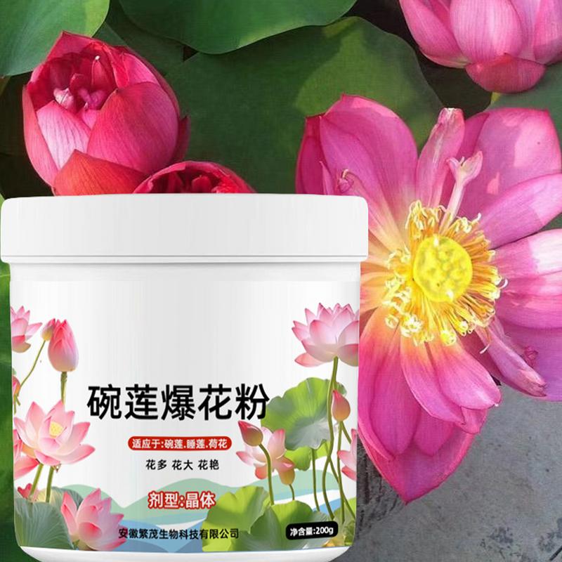 Aquatic Plant Fertilizer Water - Aquarium Plant Nutrients 评论和价格