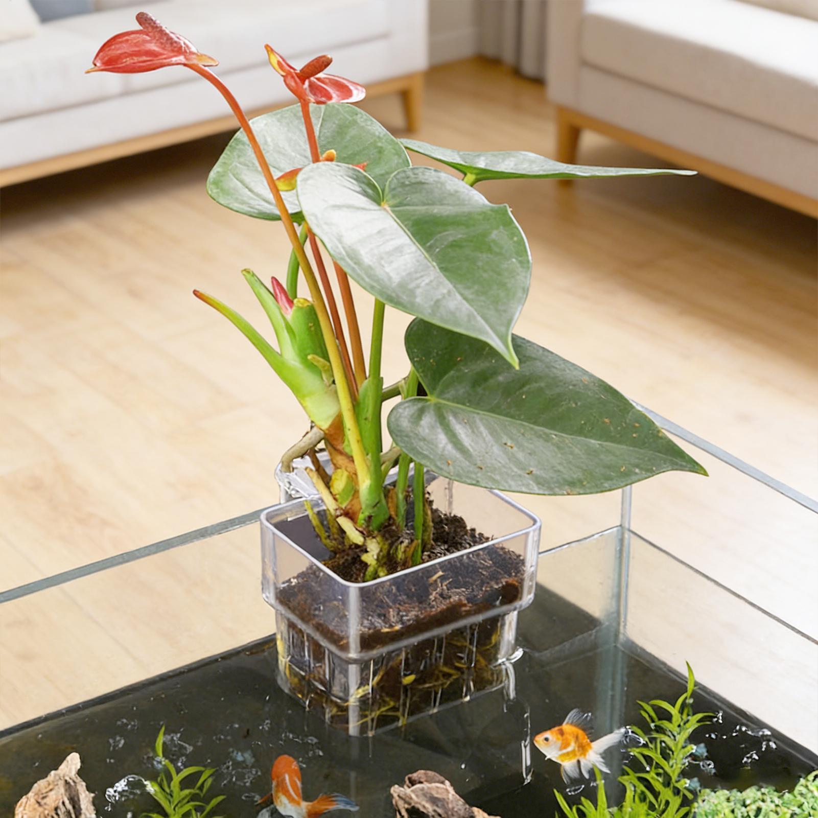 Aquarium Plant Basket Transpar - Aquarium Plant Growth 评论和价格