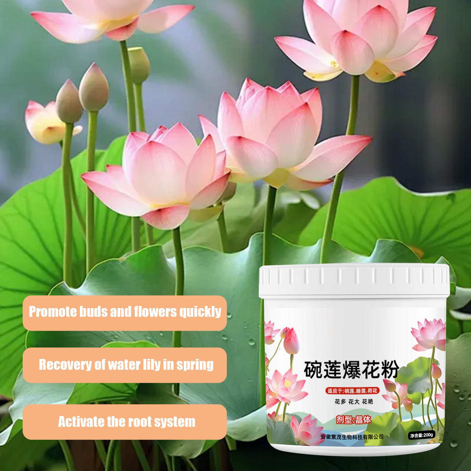 Aquatic Plant Food Water Lily  - Aquarium Plant Nutrients 评论和价格