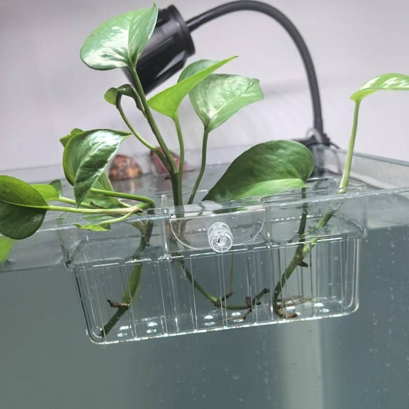 Hydroponic Plant Basket Food G - Aquarium For Planted Tank 评论和价格