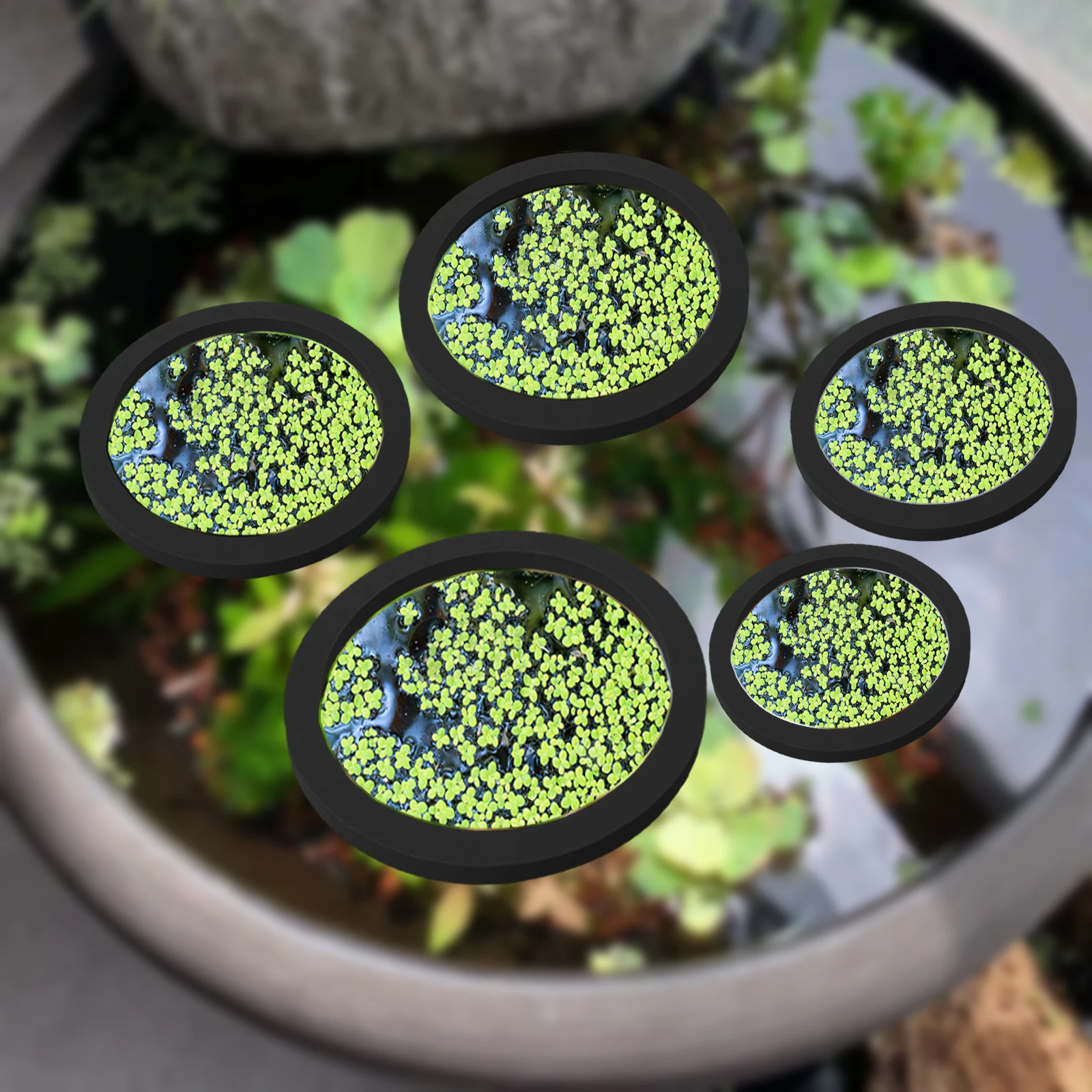 5Pcs EVA Fish Feeding Ring Aqu - Aquarium For Planted Tank 评论和价格