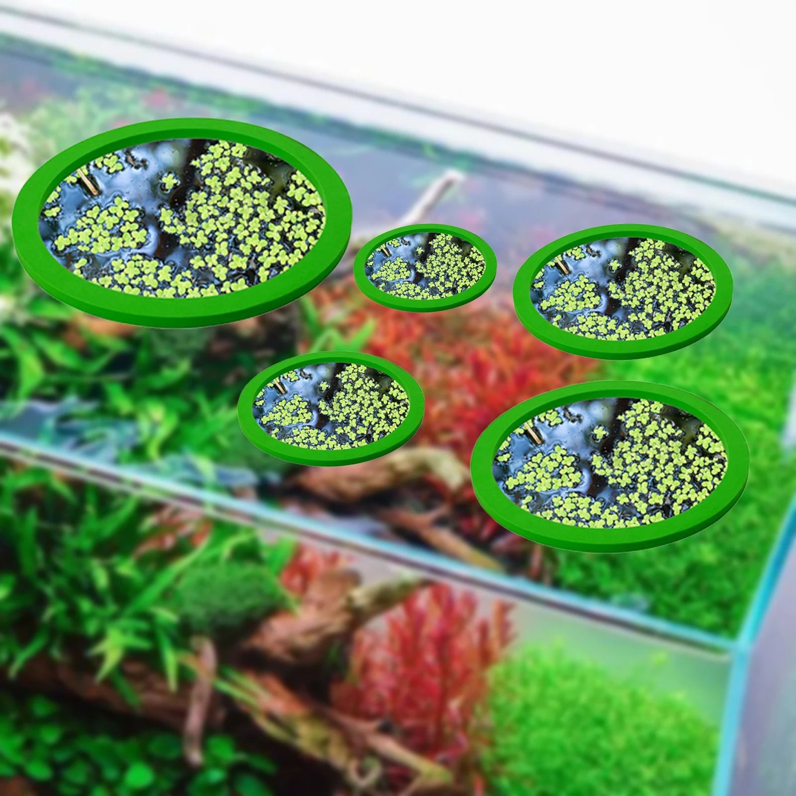 5Pcs EVA Fish Feeding Ring Aqu - Aquarium For Planted Tank 评论和价格