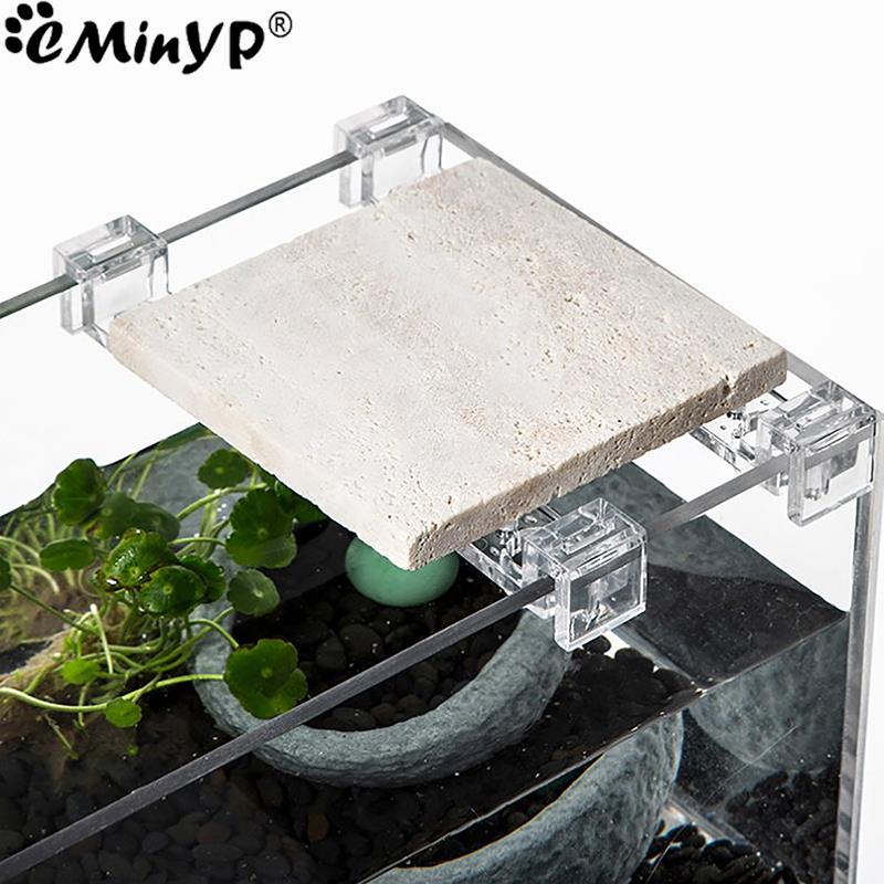 4Pcs Fish Tank Acrylic Clips f - Aquarium Plant Holder 评论和价格