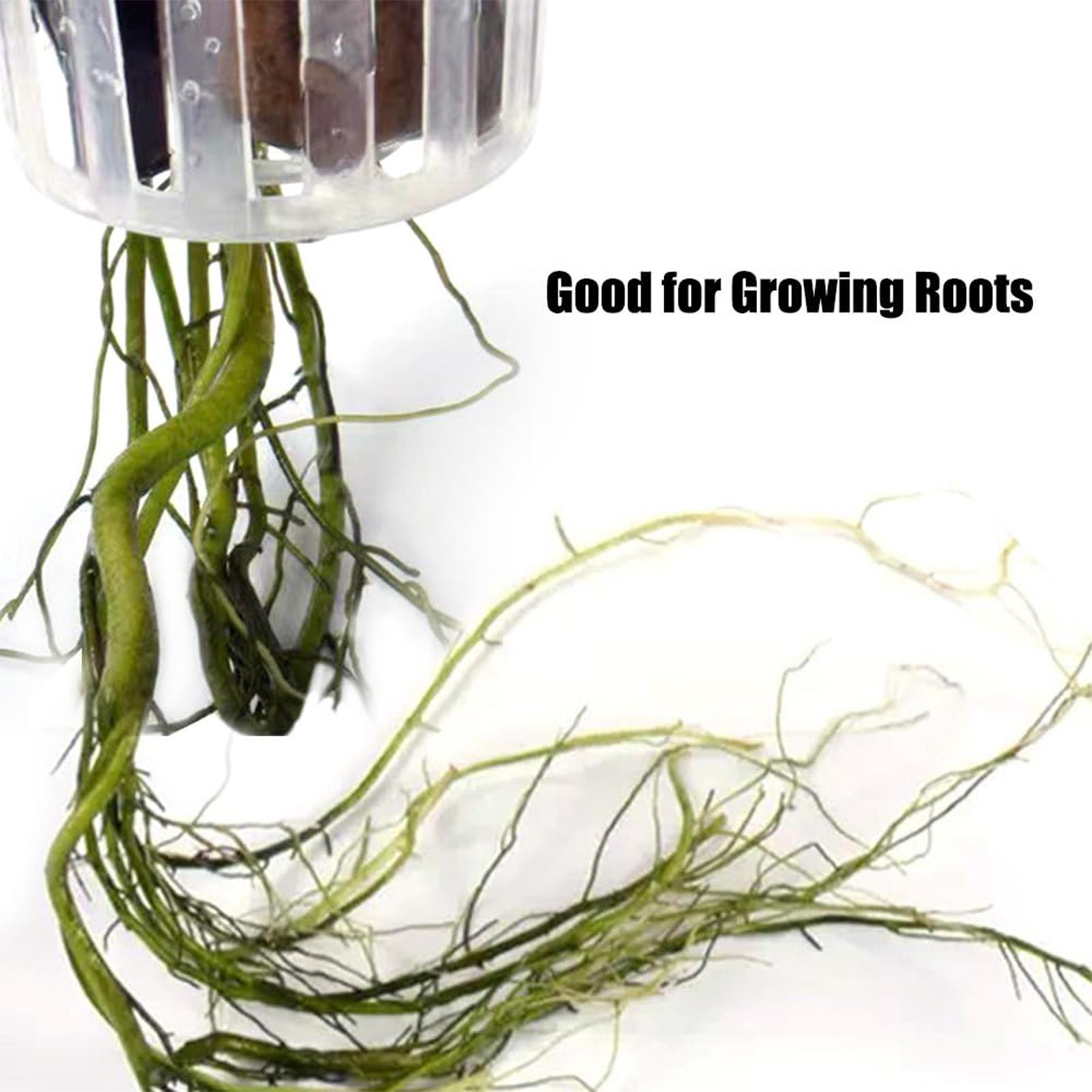 2PCS Hangable Aquatic Plant Ho - Aquarium For Planted Tank 评论和价格