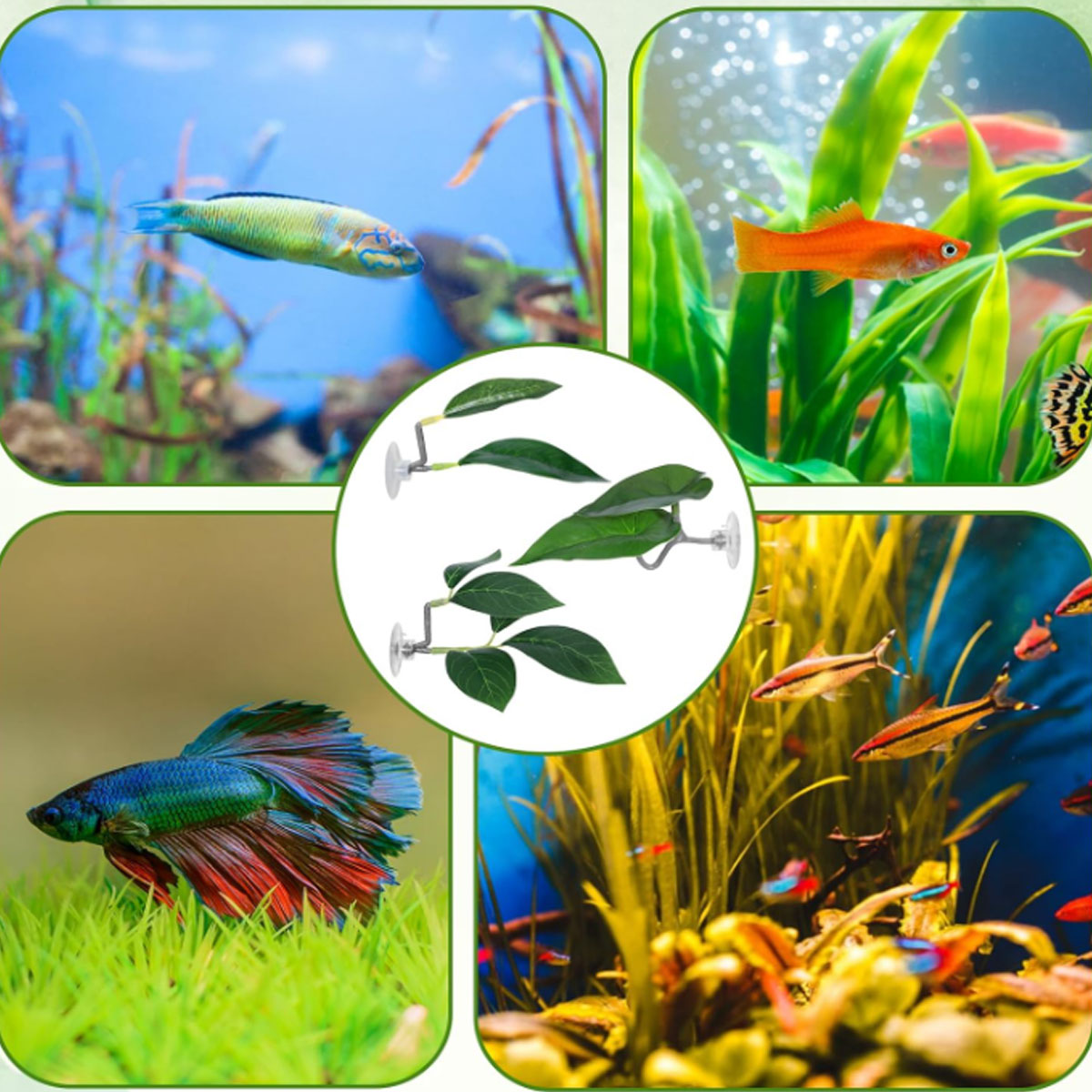 1 PC Betta Fish Hammock Soft A - Aquarium Plant Design 评论和价格