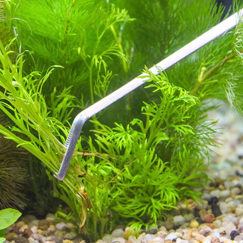 Professional Aquarium Maintena - Planted Aquarium Maintenance Kit 评论和价格