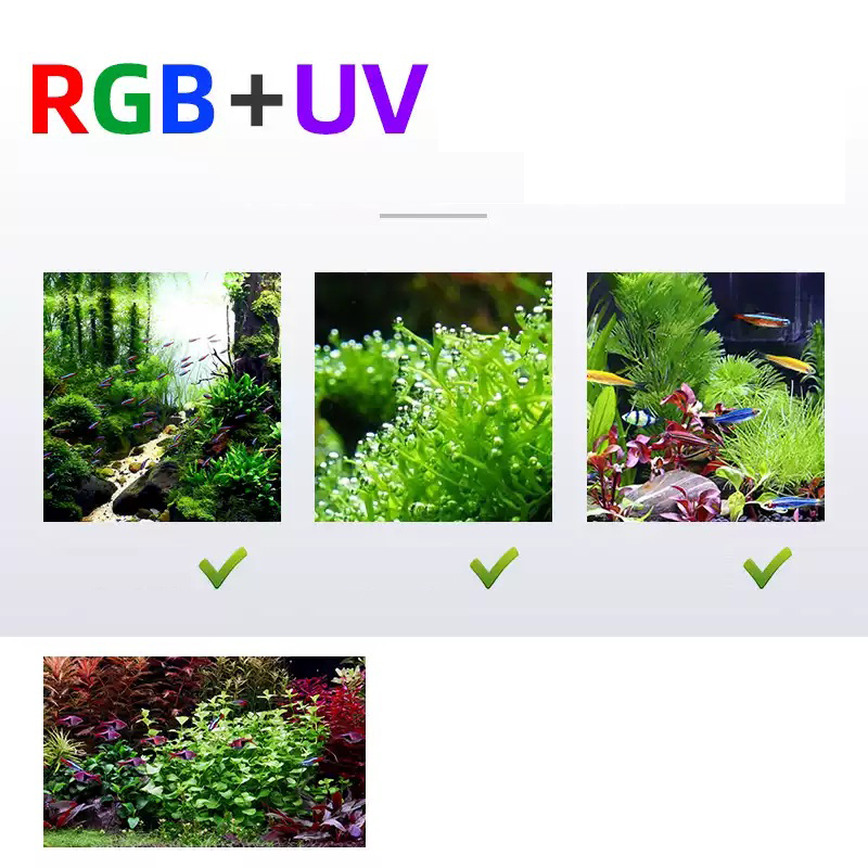 Led Lighting 60cm 80cm 90cm RG - Planted Aquarium For Sale 评论和价格
