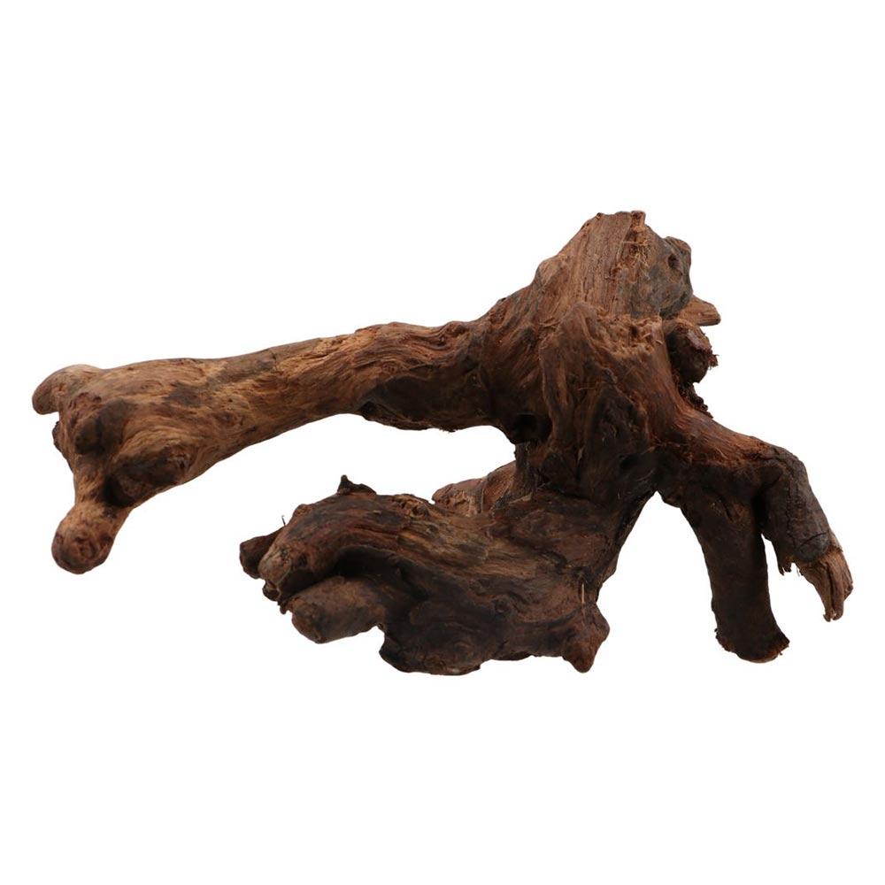 Creative Irregular Shape Coral - Aquarium Planted Substrate 评论和价格