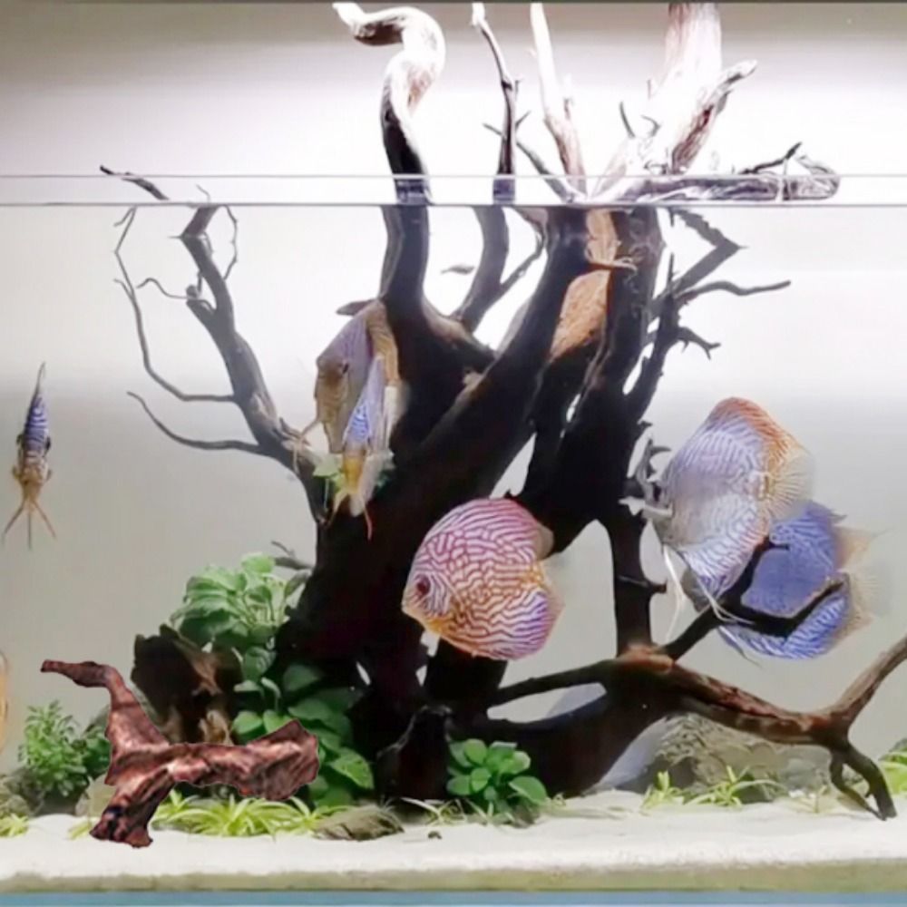 Creative Irregular Shape Coral - Aquarium Planted Substrate 评论和价格