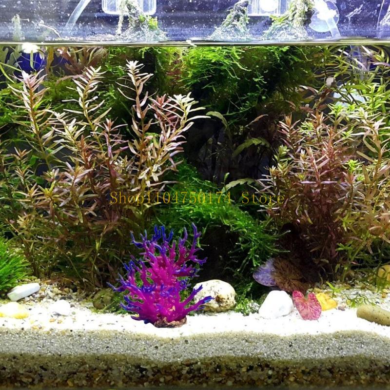 Artificial Water Plant Aquariu - Planted Aquarium For Sale 评论和价格