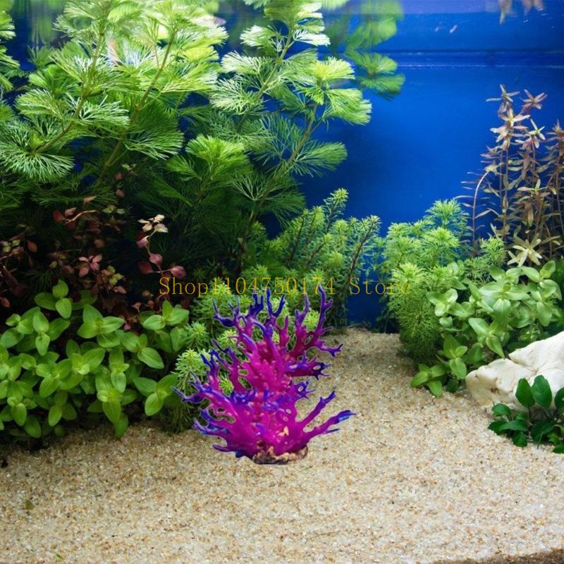 Artificial Water Plant Aquariu - Planted Aquarium For Sale 评论和价格