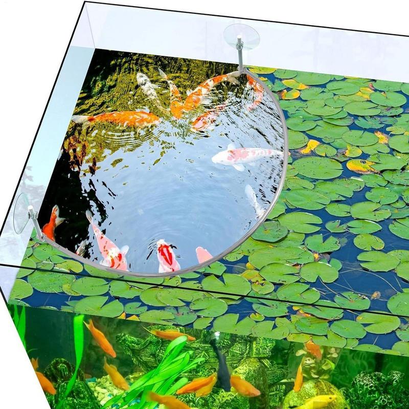 Floating Plant Corral Fish Fee - Planted Aquarium Parameters 评论和价格