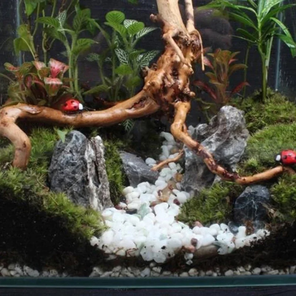 Natural Driftwood Aquarium Dec - Aquarium Planted Substrate 评论和价格