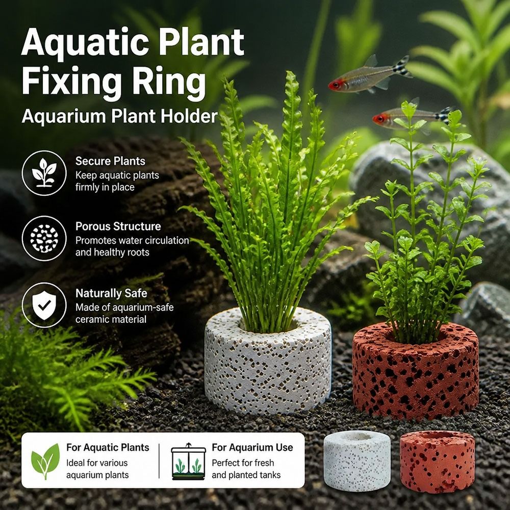 10Pcs Weighted Ring Aquatic Pl - Planted Aquarium Pictures 评论和价格