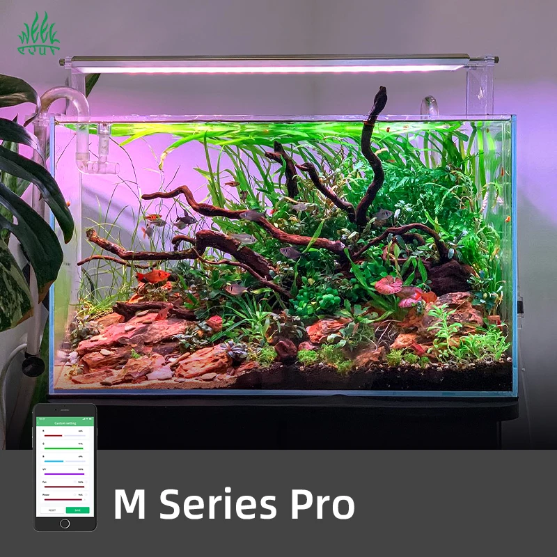 ZXY Hot Sales WEEK AQUA M1200P - Planted Aquarium For Sale 评论和价格