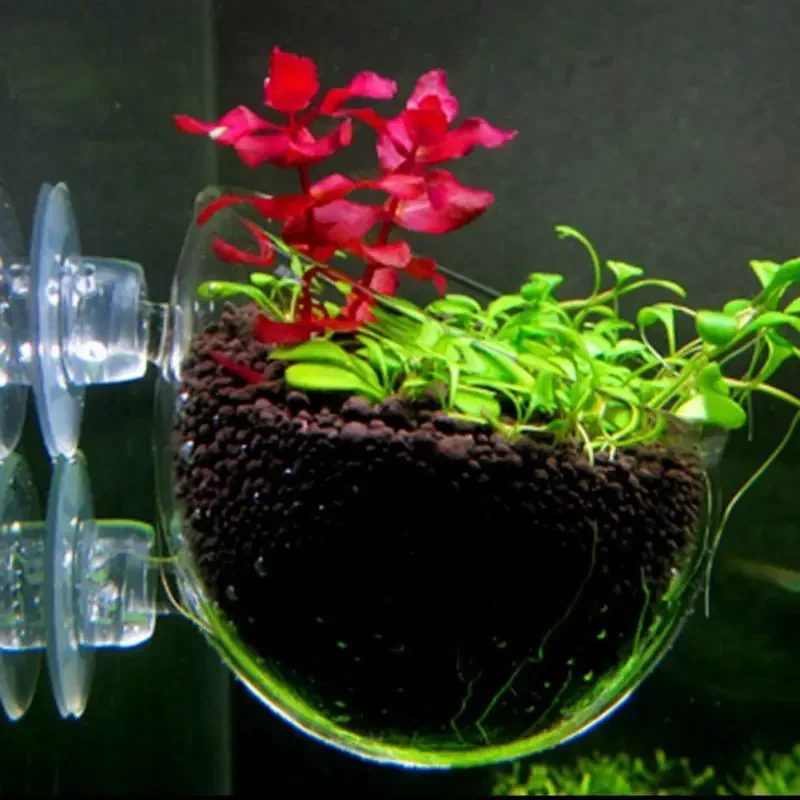 Clear Aquatic Plant Cup With S - Aquarium Plant Holder 评论和价格