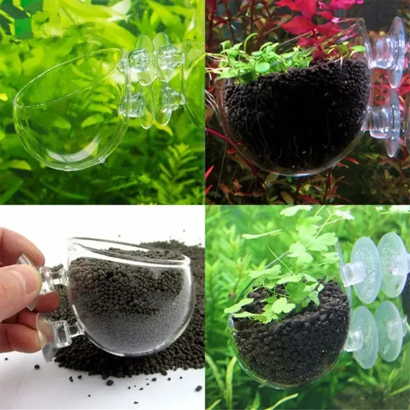 Clear Aquatic Plant Cup With S - Aquarium Plant Holder 评论和价格