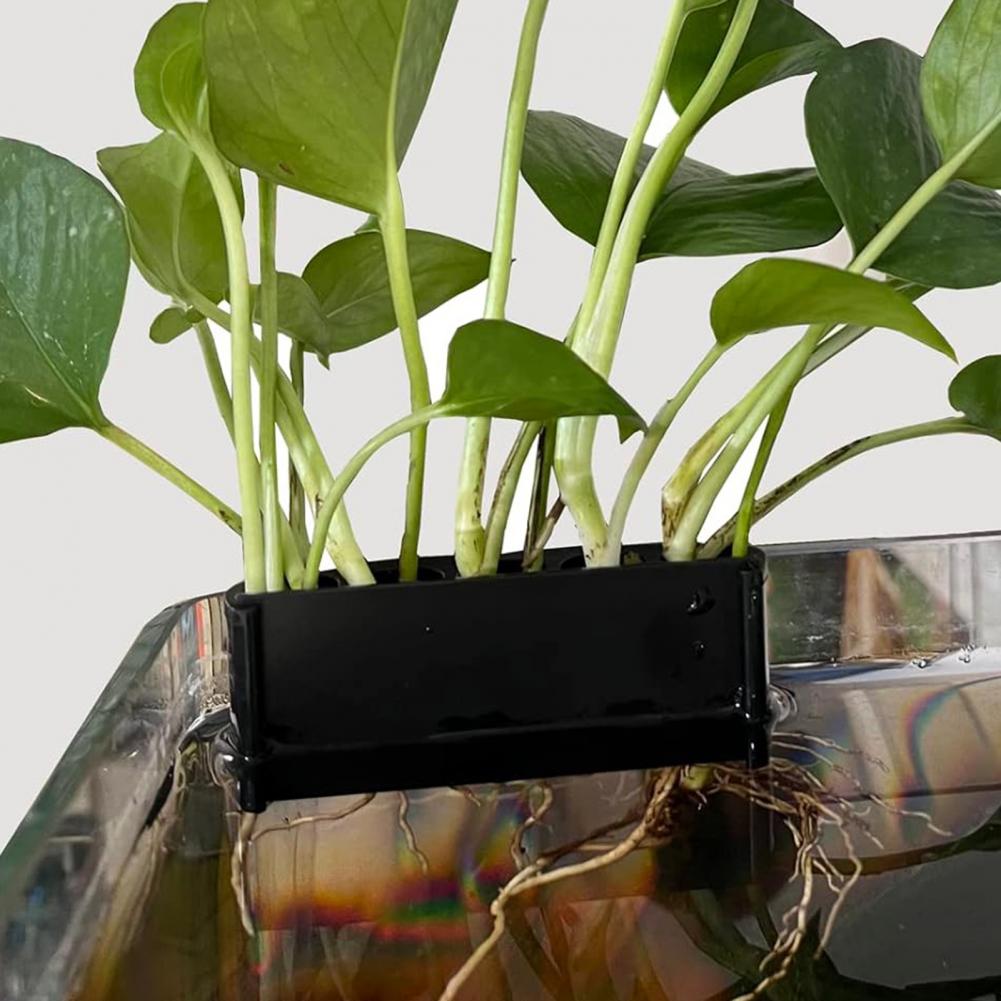 Abs Plant Supports for Aquariu - Aquarium For Planted Tank 评论和价格