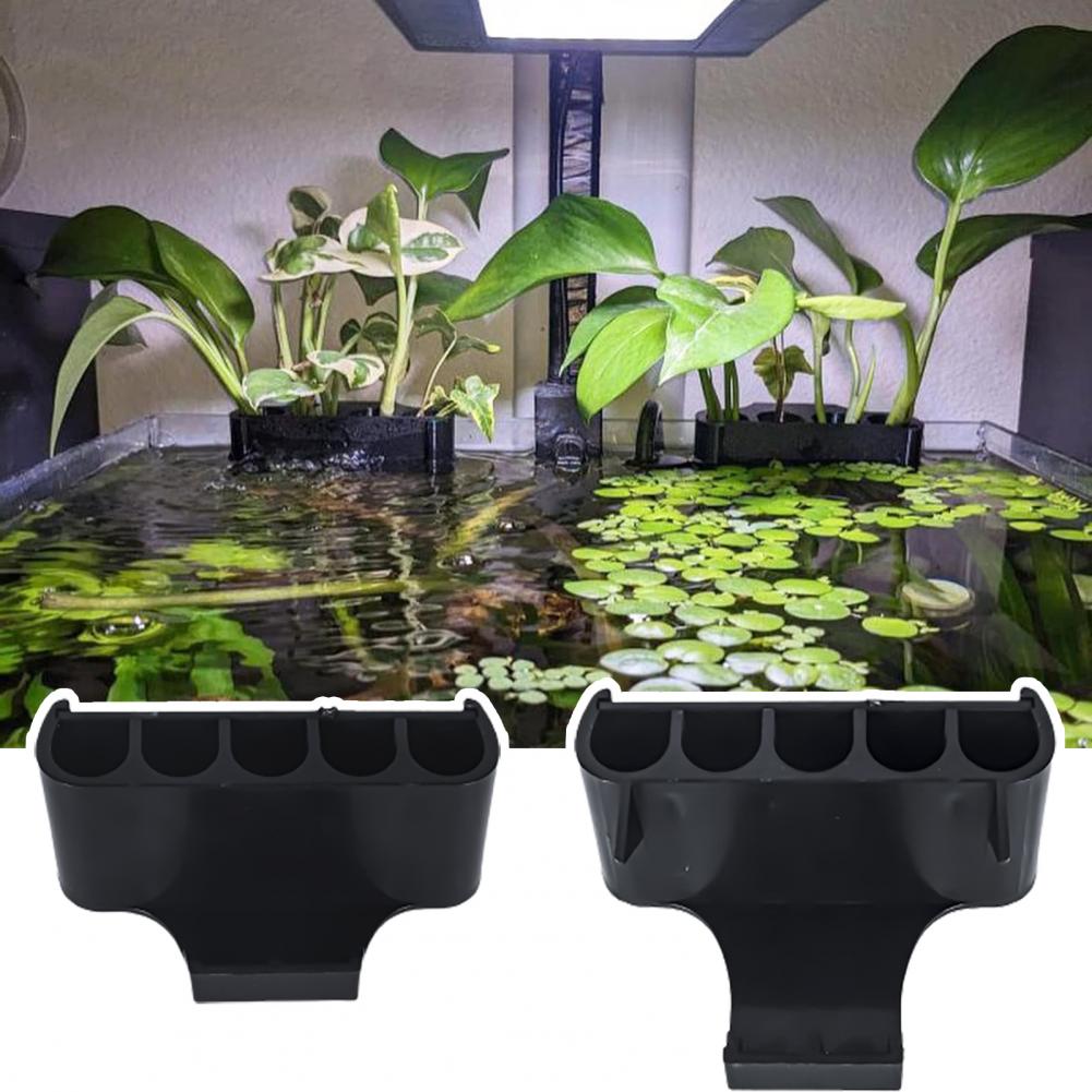 Abs Plant Supports for Aquariu - Aquarium For Planted Tank 评论和价格