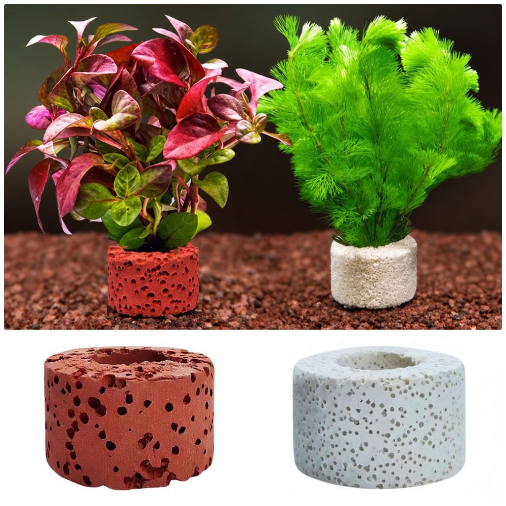 10Pcs Weighted Ring Aquatic Pl - Planted Aquarium Pictures 评论和价格
