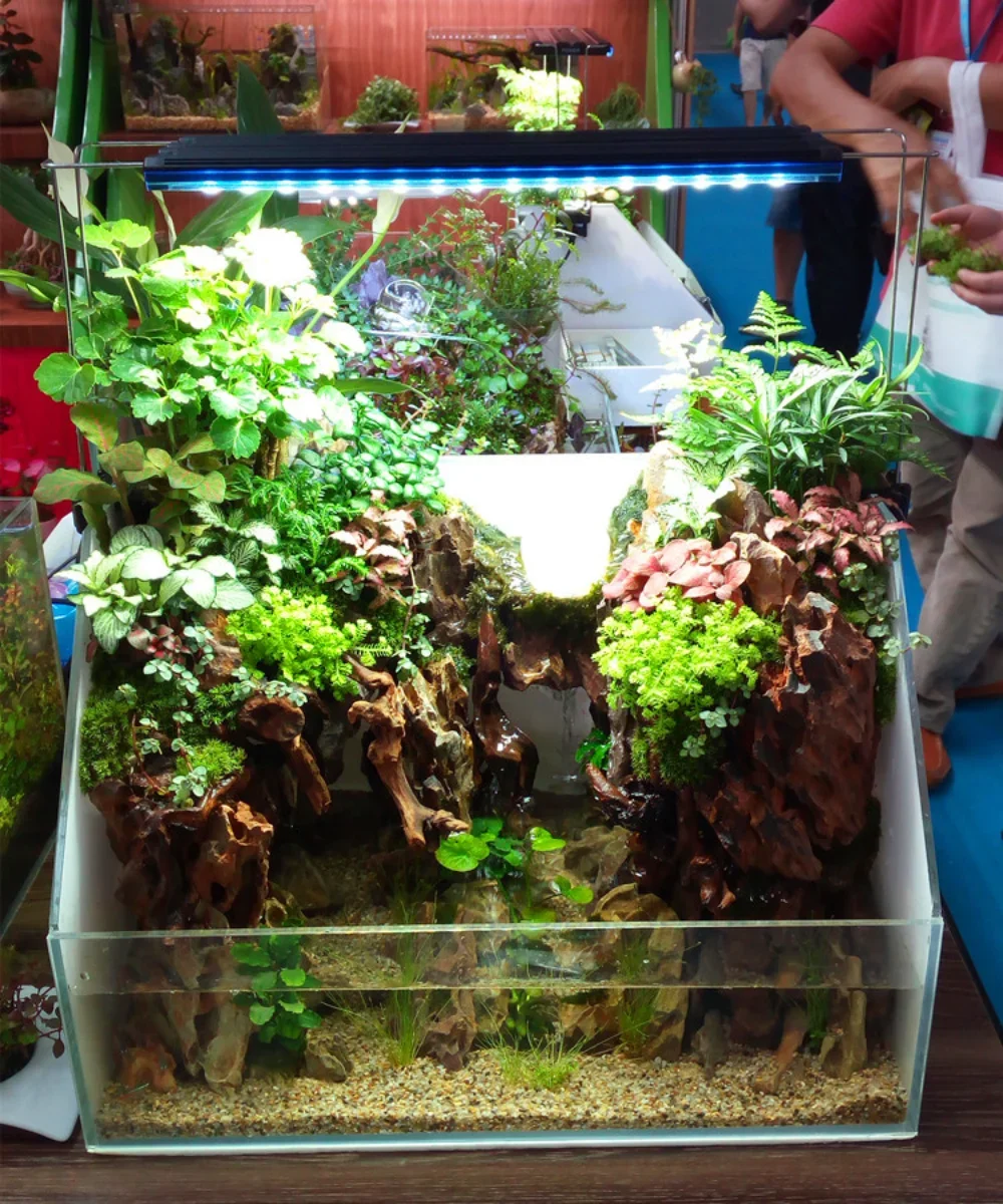 Water Plant Lamp,LED Fish Tank - Aquarium Plant Light Spectrum 评论和价格