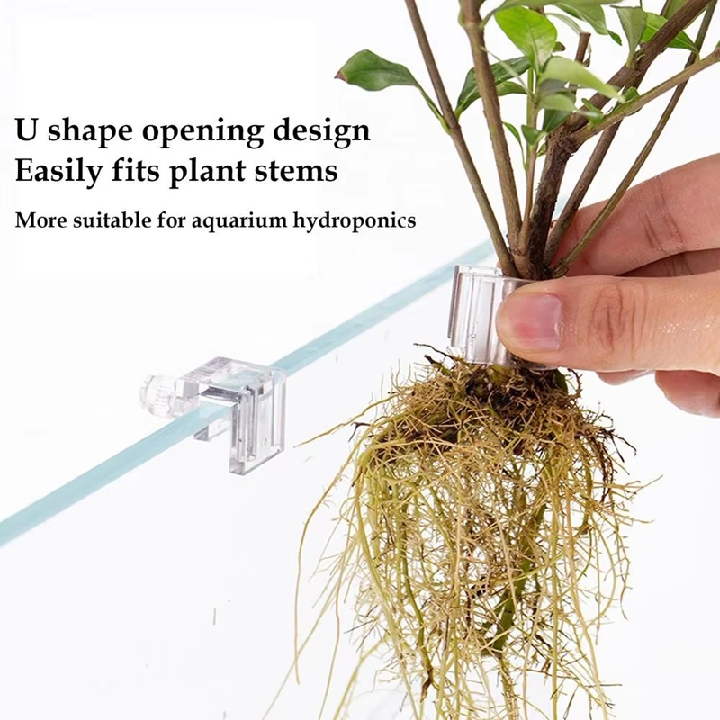 Hot Sale 6pcs Clear Aquarium P - Planted Aquarium For Sale 评论和价格