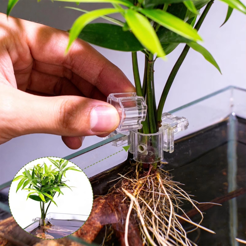 Hot Sale 6pcs Clear Aquarium P - Planted Aquarium For Sale 评论和价格
