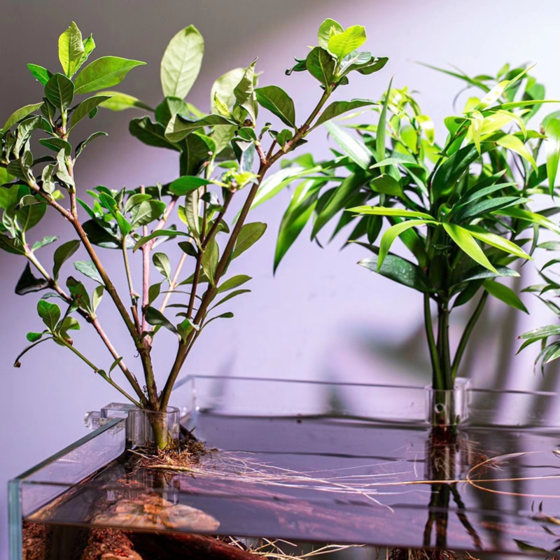 Hot Sale 6pcs Clear Aquarium P - Planted Aquarium For Sale 评论和价格